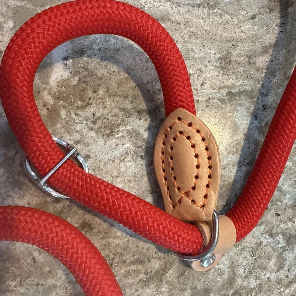 5' Nylon Leather Slip Lead Dog‎ Leash Red Dog Training Walking Exercise